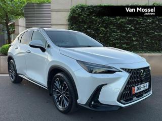 2024 Lexus NX