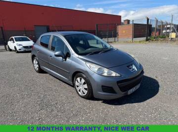 2010 Peugeot 207