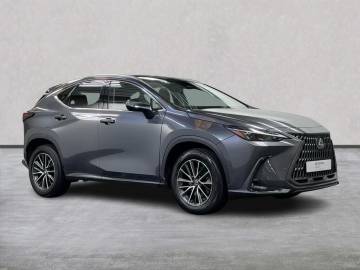 2023 Lexus NX