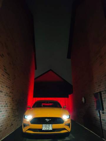 2019 Ford Mustang