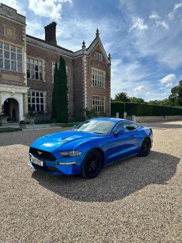 2019 Ford Mustang