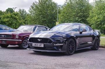 2019 Ford Mustang