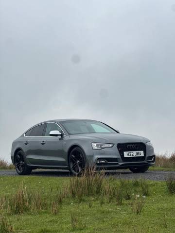 2013 Audi S5