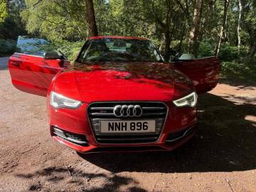 2013 Audi S5