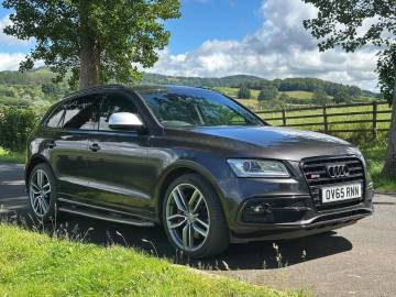 2015 Audi SQ5