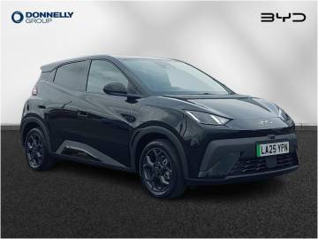 2025 BYD Dolphin Surf