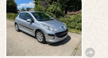2009 Peugeot 207