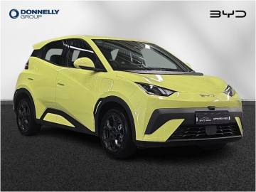 2025 BYD Dolphin Surf
